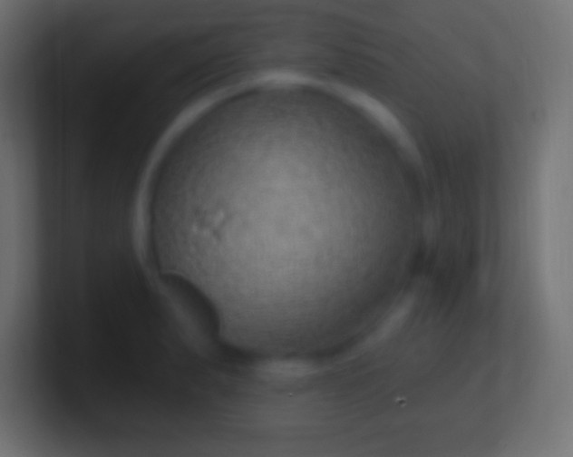 X0000100781183200807031225