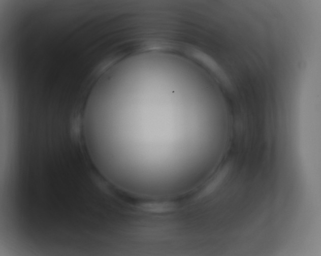 X0000100781185200807031225