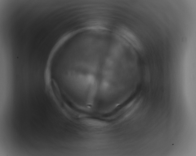 X0000100781188200807031225