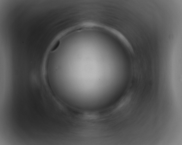 X0000100781191200807031225