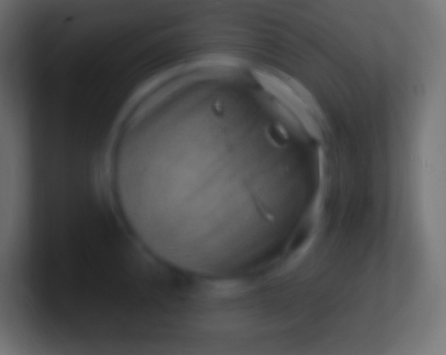 X0000100781192200807031225