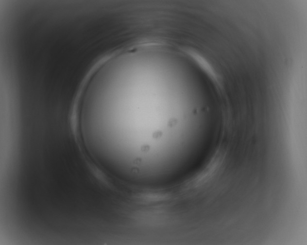 X0000100781197200807031225