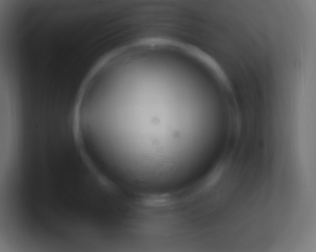 X0000100781199200807031225