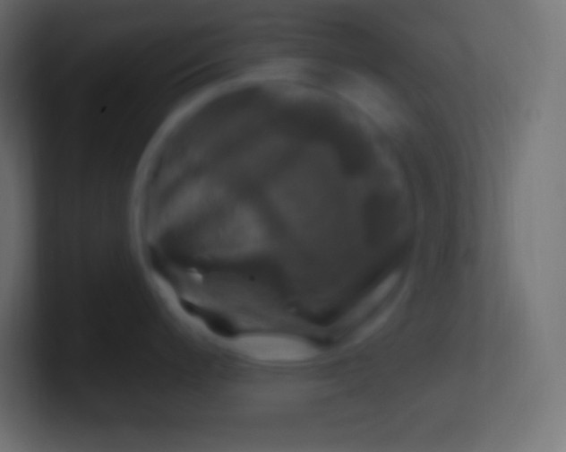 X0000100781200200807031225