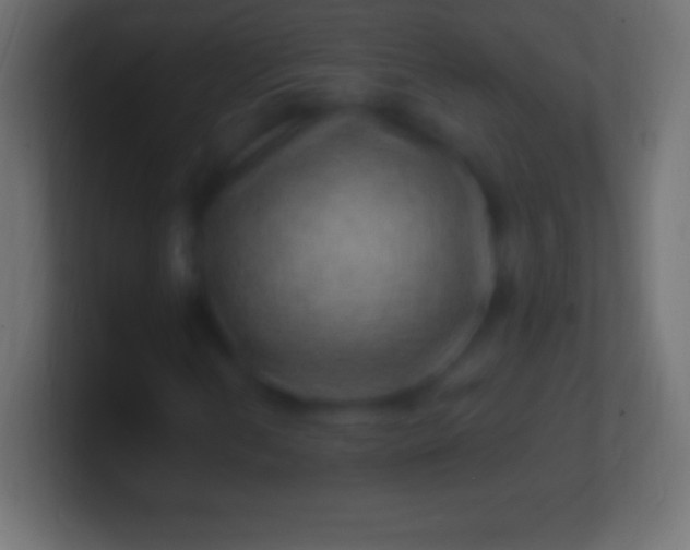 X0000100781202200807031224