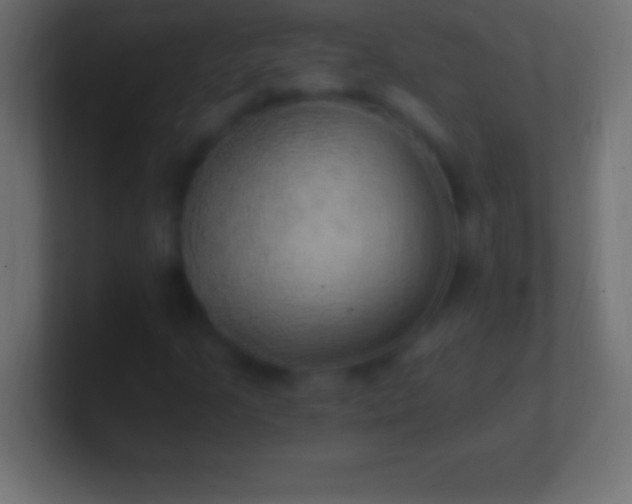 X0000100781205200807031224