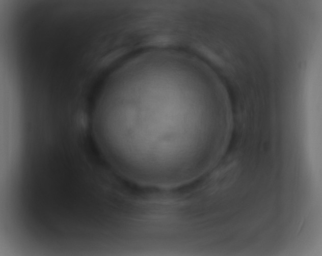 X0000100781206200807031224