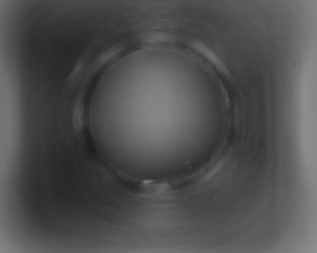 X0000100781213200807031224