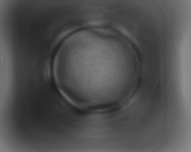 X0000100781214200807031224