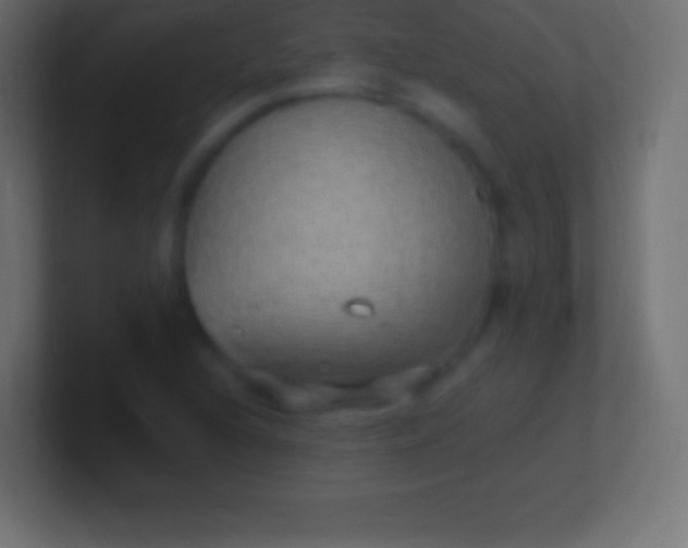 X0000100781216200807031224