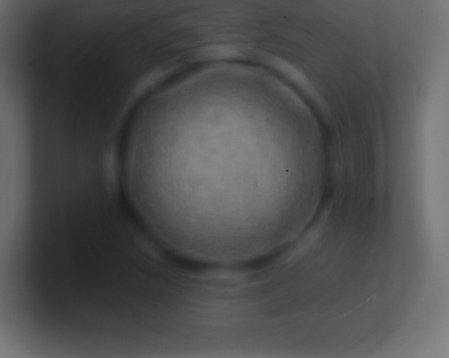 X0000100781218200807031224