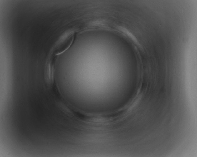 X0000100781219200807031224