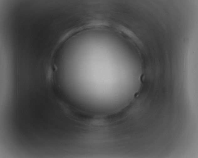 X0000100781220200807031224