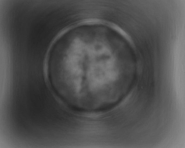 X0000100781229200807031224