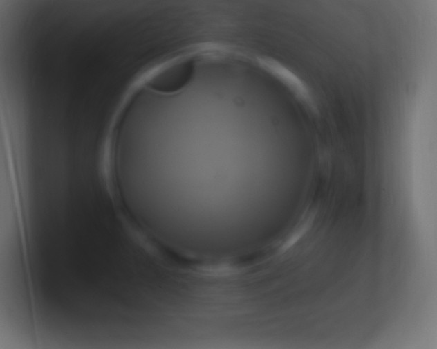 X0000100781231200807031224