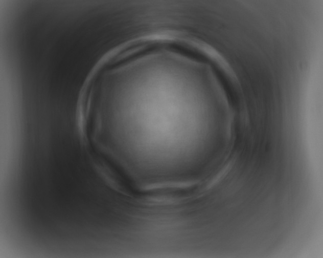 X0000100781232200807031224