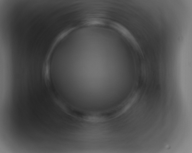 X0000100781234200807031224