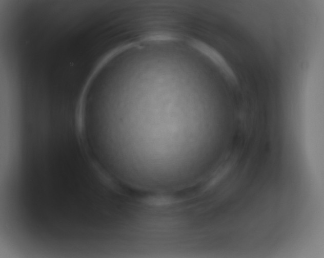 X0000100781236200807031224