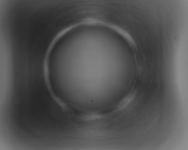 X0000100781239200807031224