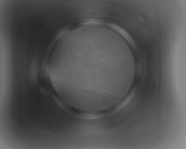 X0000100781241200807031224