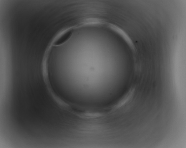 X0000100781243200807031225