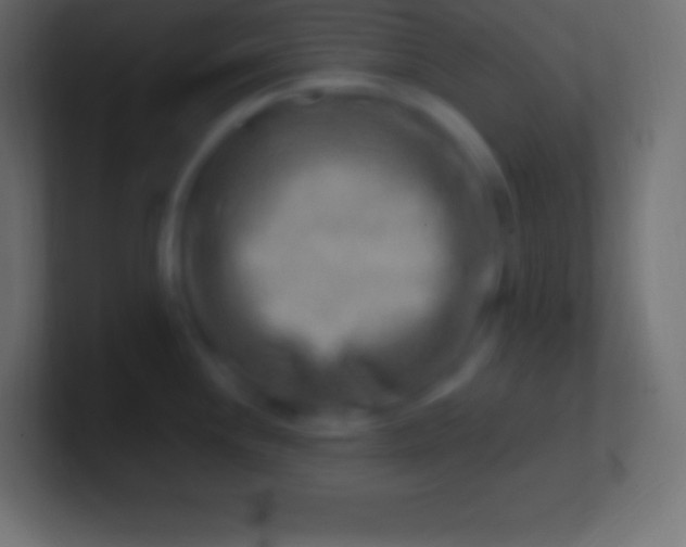 X0000100781244200807031225