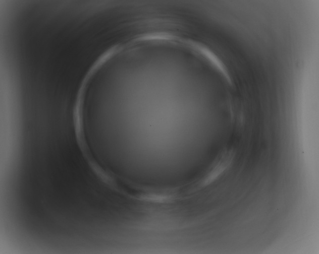 X0000100781245200807031225