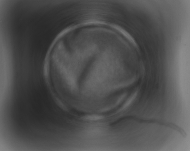 X0000100781246200807031225