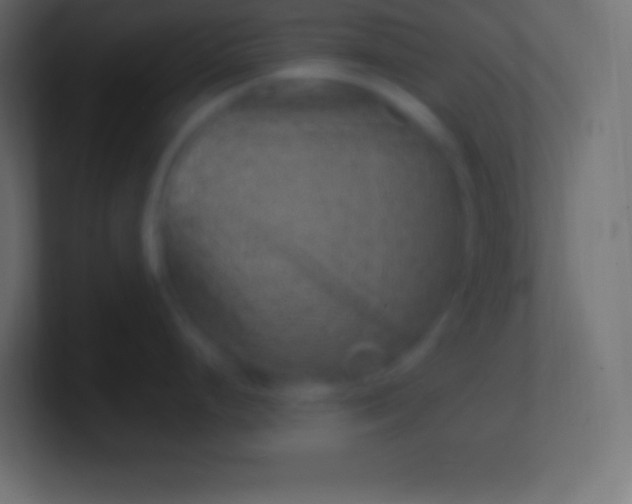 X0000100781248200807031225