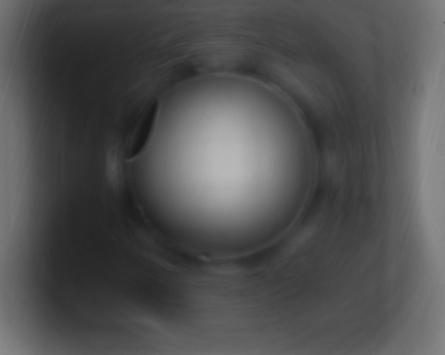 X0000100781250200807031224