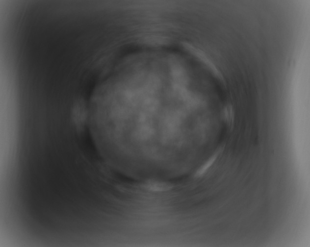 X0000100781251200807031224