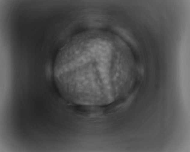 X0000100781252200807031224