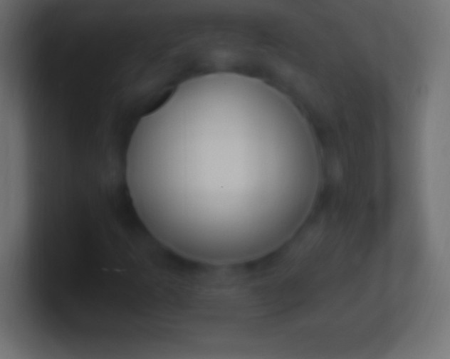 X0000100781253200807031224