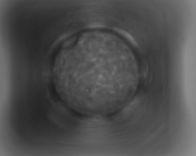 X0000100781255200807031224