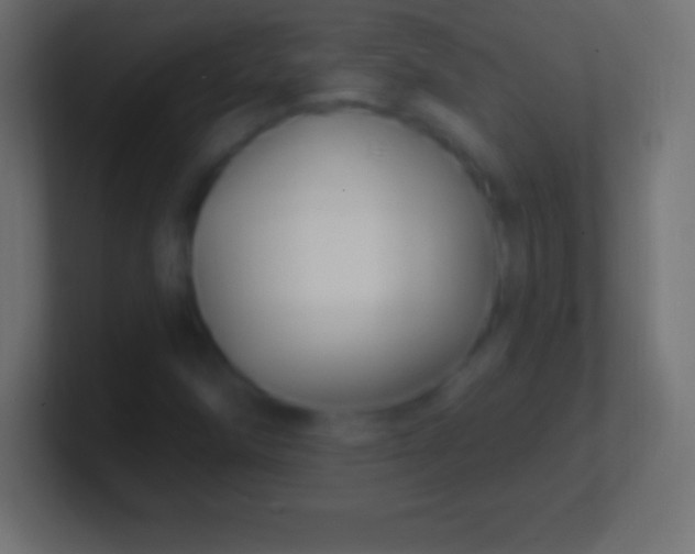 X0000100781258200807031224