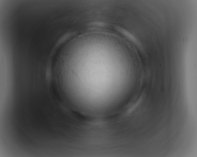 X0000100781259200807031224