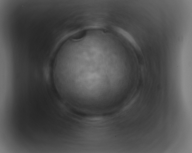 X0000100781260200807031224