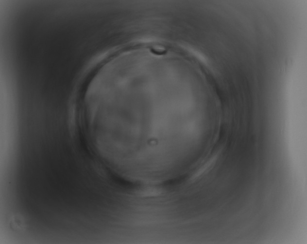 X0000100781263200807031224