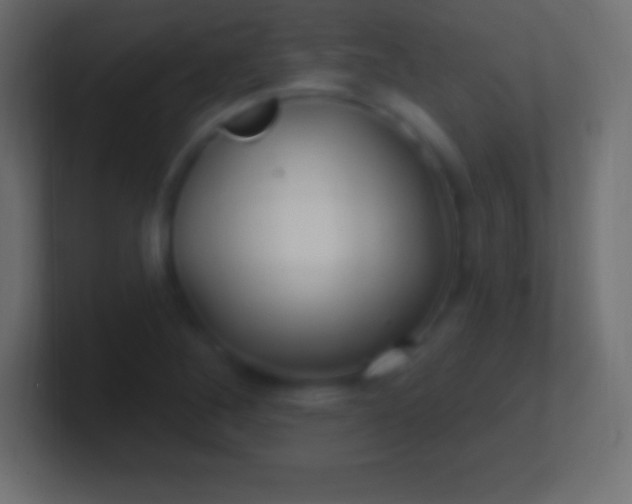 X0000100781268200807031224