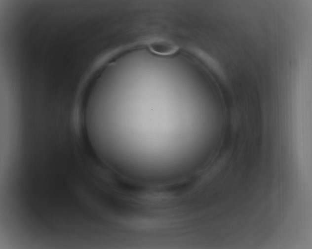 X0000100781270200807031224