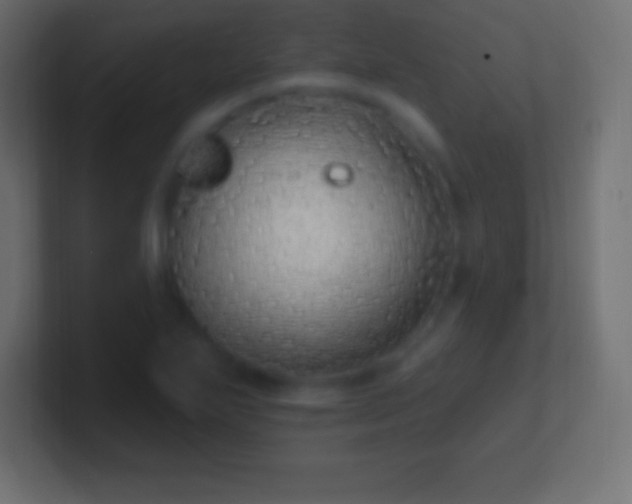 X0000100781271200807031224