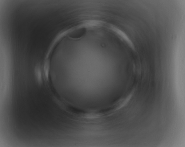 X0000100781275200807031224