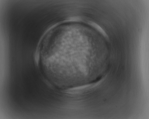 X0000100781276200807031223