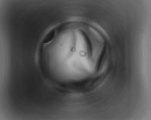 X0000100781277200807031223