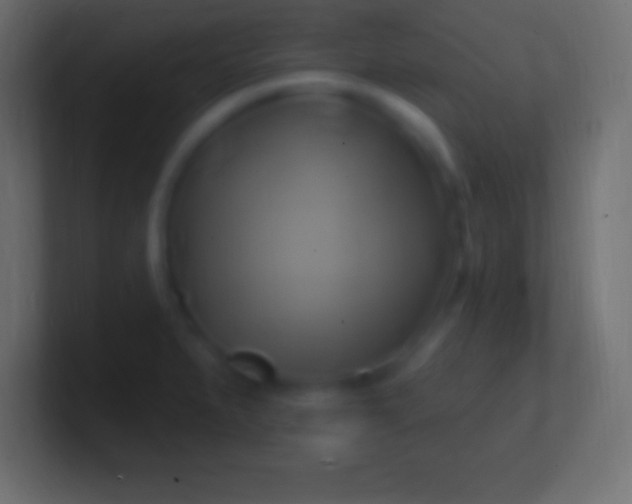 X0000100781279200807031223