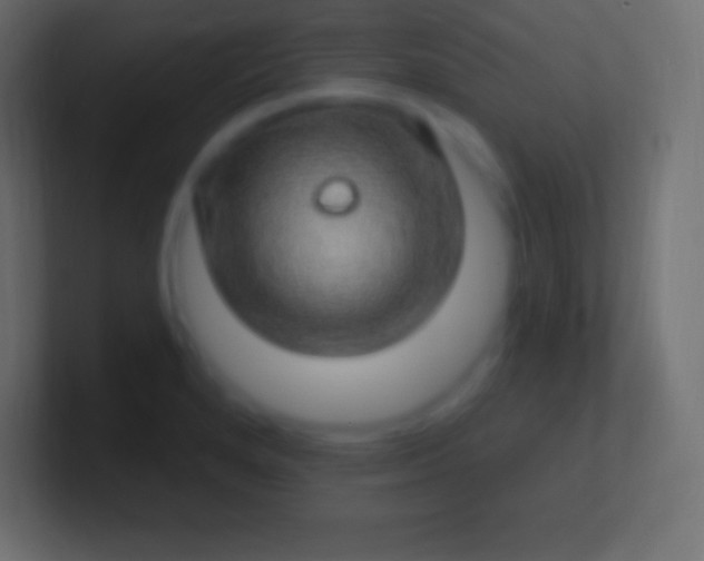 X0000100781280200807031223