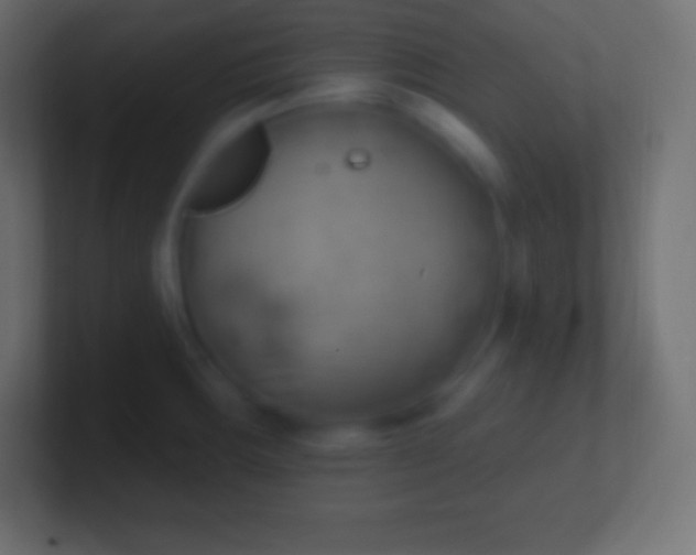 X0000100781283200807031223