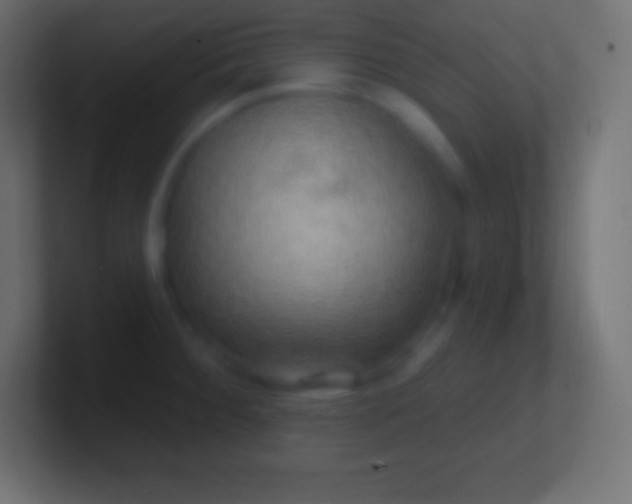 X0000100781284200807031223