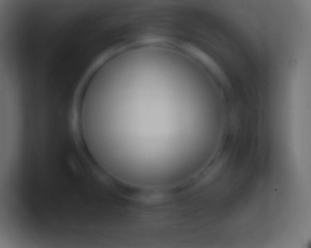 X0000100781286200807031223