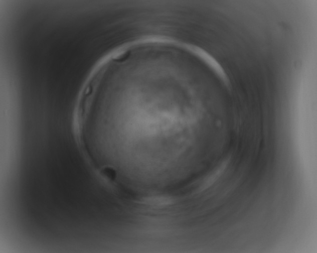 X0000100781287200807031223